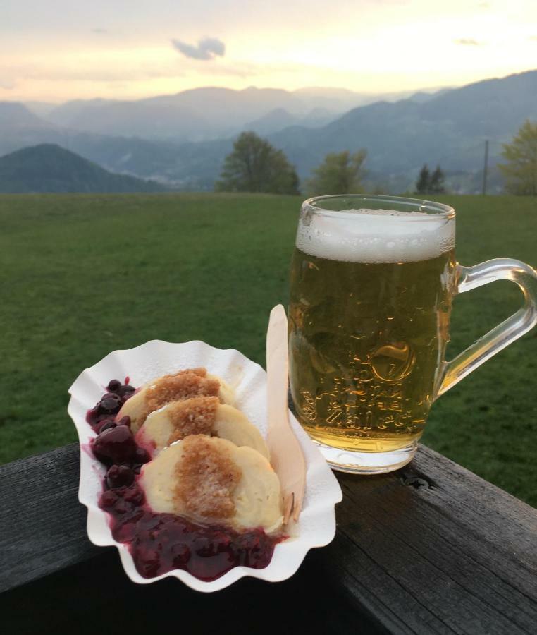 Dol pri HrastnikuPlaninski Dom Na Kalu住宿加早餐旅馆 外观 照片